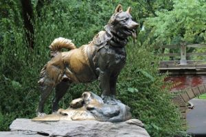 Памятник собаке Балто в Нью-Йорке